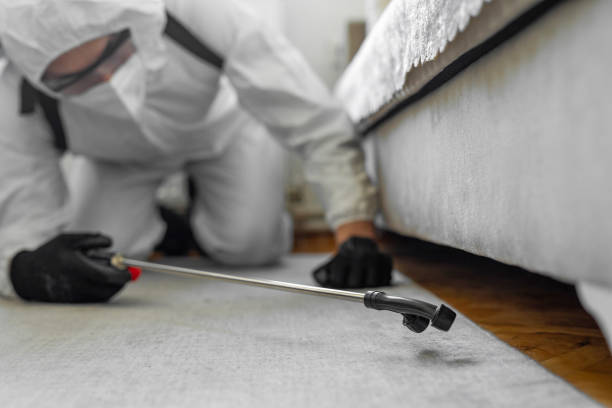 Professional Termite Control technician working in Balm, FL