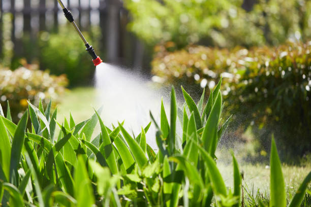 24/7 Emergency Termite Control experts in Balm, FL